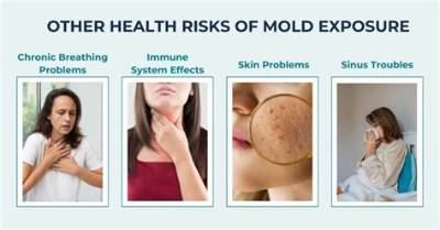 What Physical Problems Can Mold Cause?