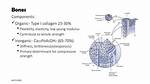 What Provides Bones with Flexibility and Tensile Strength