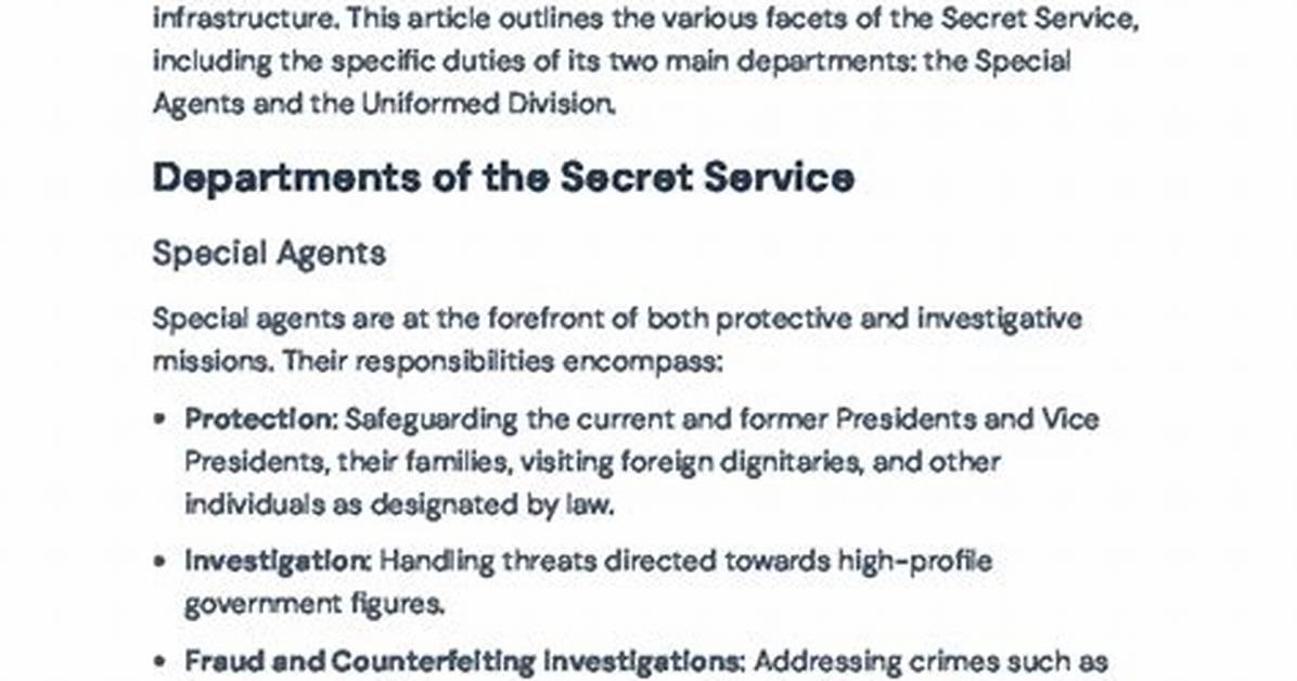 What Responsibilities Do Secret Service Agents Have?