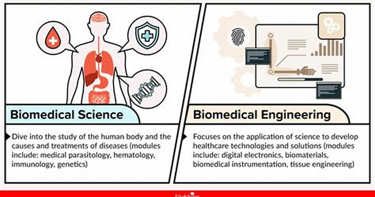What's All About Biomedical Engineering?