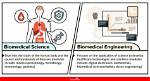 What's All About Biomedical Engineering?