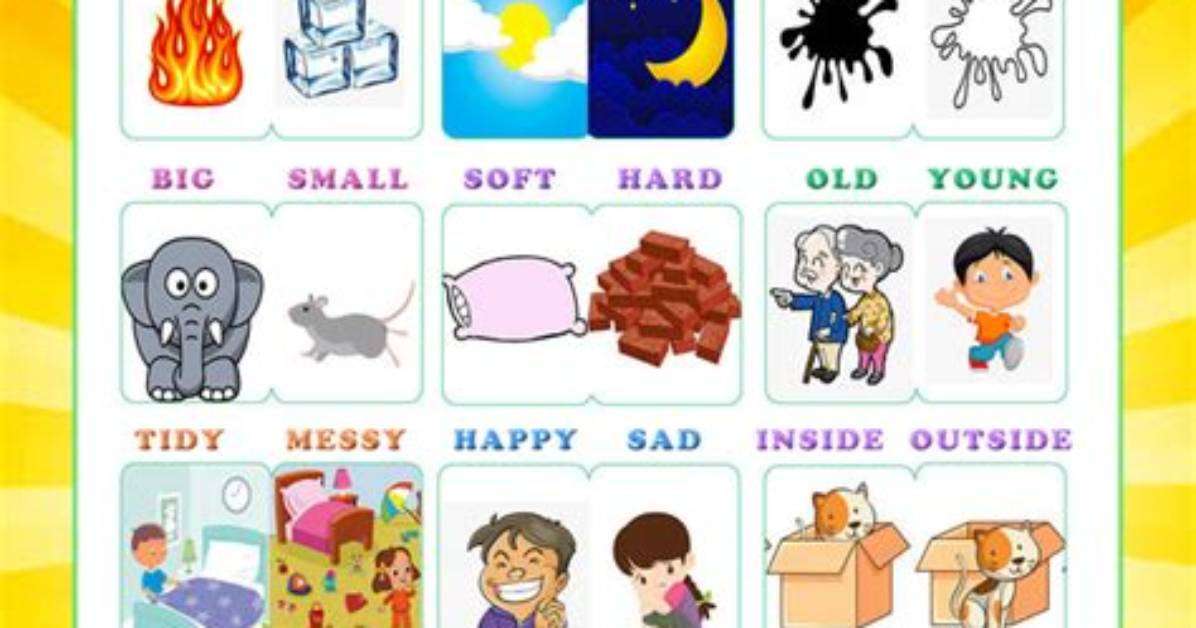 What S Opposites In