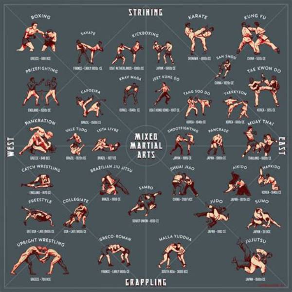 What's the Best Fighting Style?