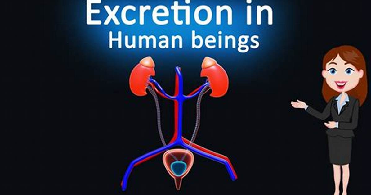 What's the Meaning of Execration?