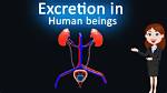 What's the Meaning of Execration?