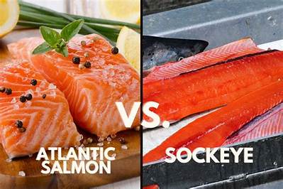 What's Wrong with Atlantic Salmon?