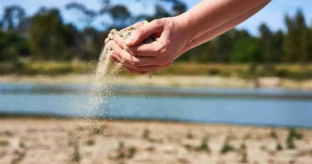 What Sand Should I Use to Level My Lawn?