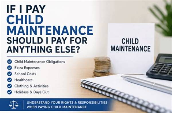 What Should Child Maintenance Pay for?