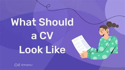 What Should I Look for in a Work Contract?