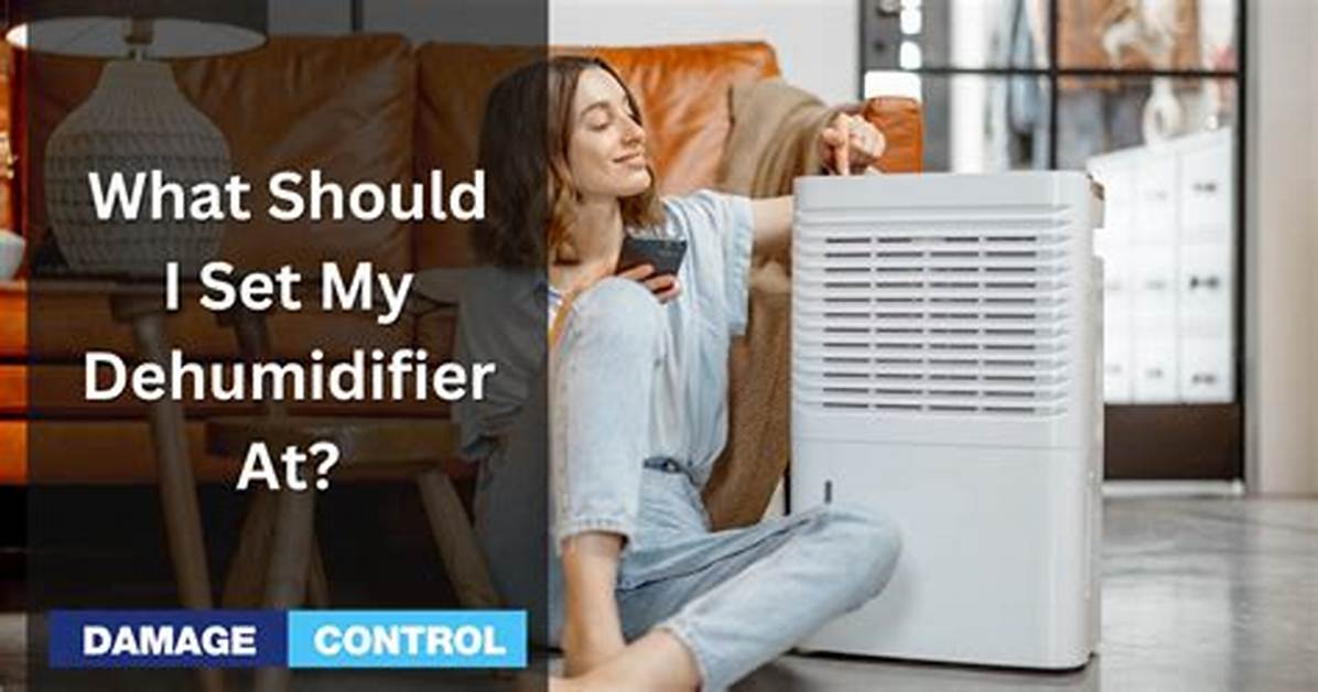 What Should My Dehumidifier Be Set at in Winter?