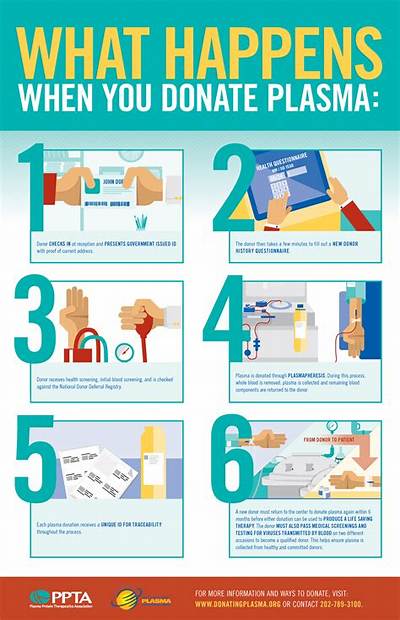 What Should You Do Before Plasmapheresis?