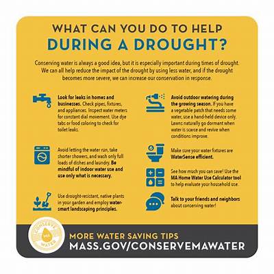 What Should You Do During a Drought?