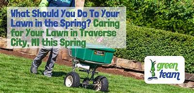 What Should You Do to Your Lawn Every Year?