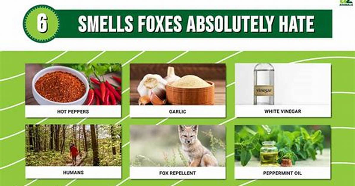 What Smells Keep Foxes Away?