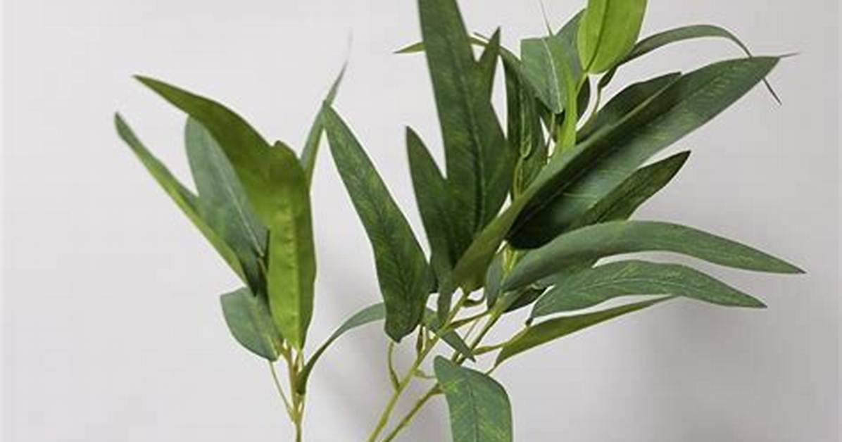 What Sound Does a Gum Leaf Make?