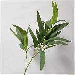 What Sound Does a Gum Leaf Make?