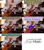 What Strings Did Segovia Use?