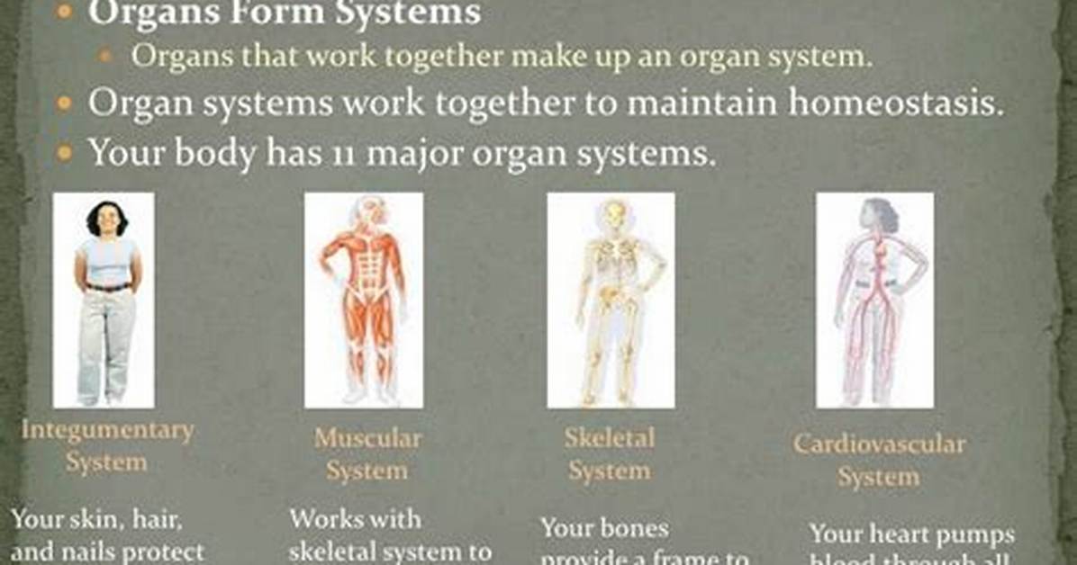 What Systems Work Together - Lisbd-Net. Com