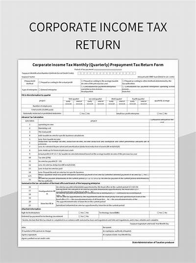 What Tax Form Does an Ltd File?