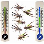 What Temperature Do Crickets?