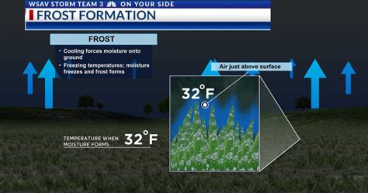 What Time Does Frost Close