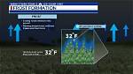What Time Does Frost Close
