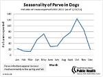 What Time of Year Is Parvo Most Common?