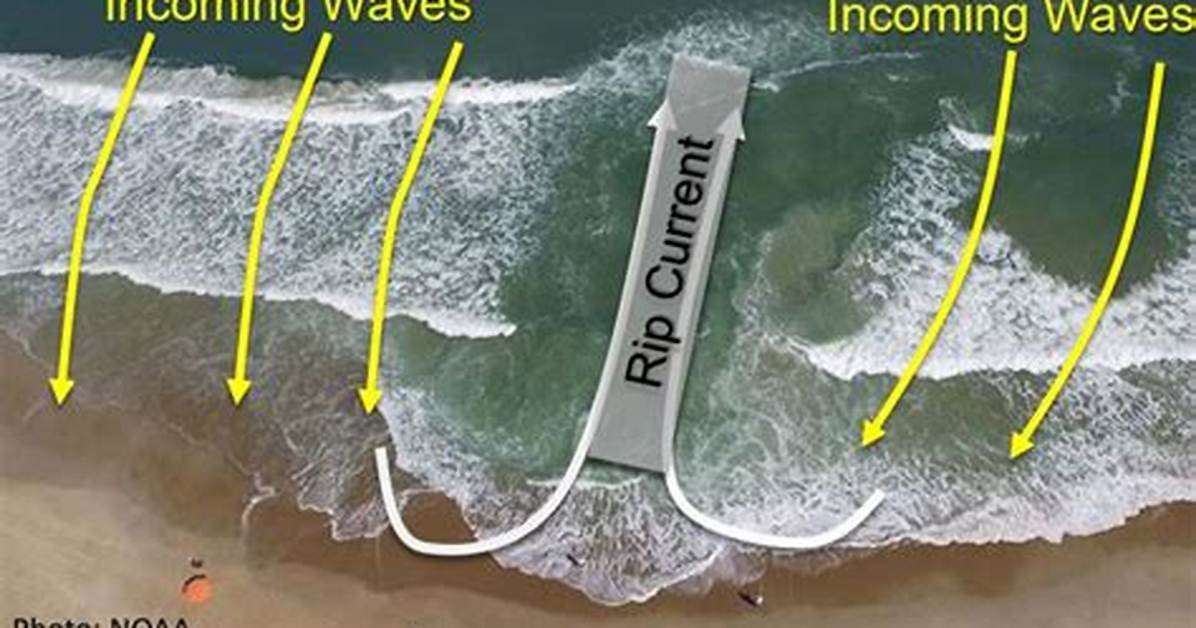 What to Do in a Rip Current