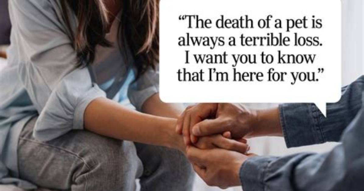 What to Say When Someone Loses a Pet Best