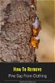 What to Use to Clean Pine Sap off a Wood Deck