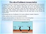 What Transports Most of the Sediment in Beach Environments