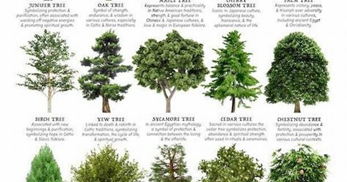 What Trees Mean?