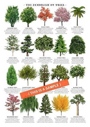 What Trees Mean?