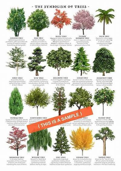 What Trees Mean?