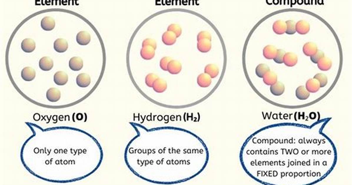 What Two Elements Are Always Found in Amino Acids