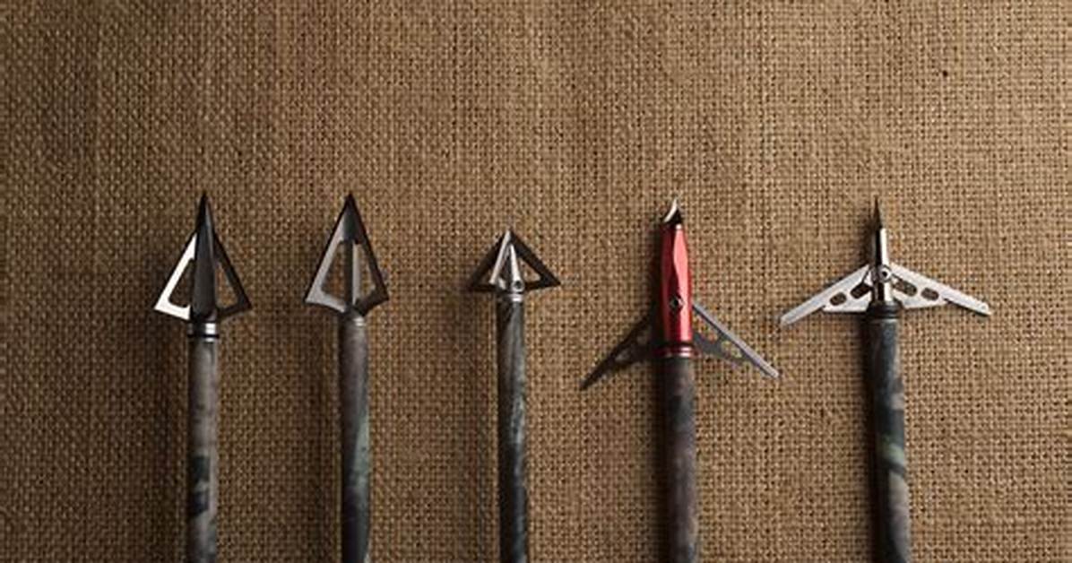 What Type of Arrowhead Spears Fish