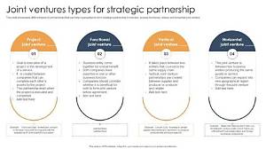 What Type of Business Is Joint Venture Suitable?