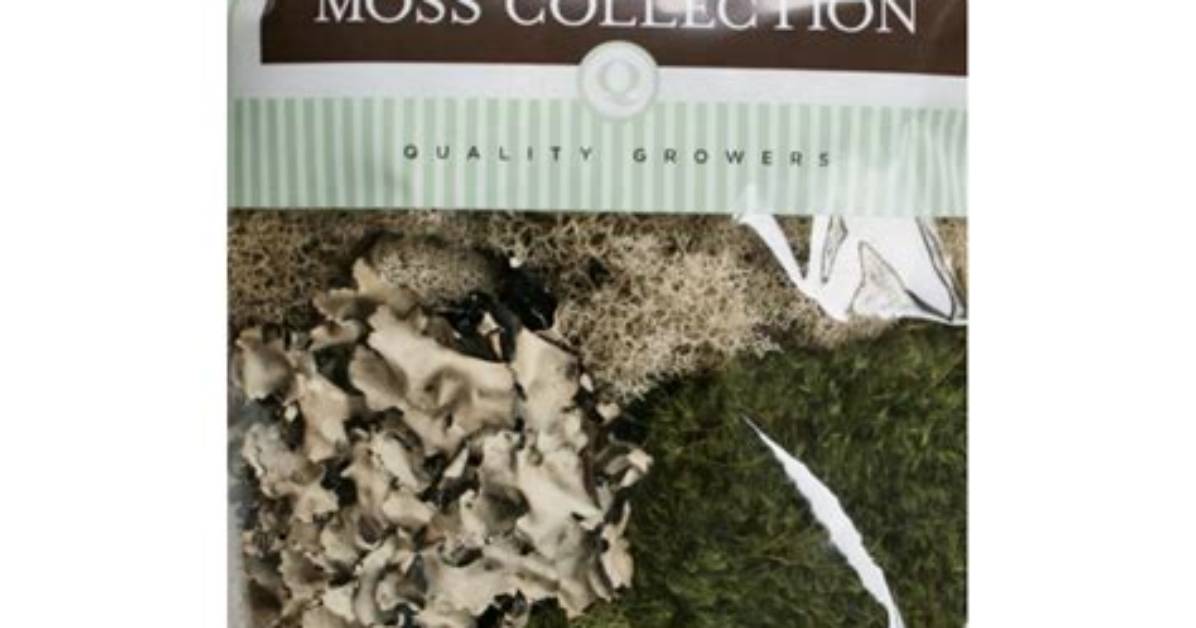 What Type of Consumer Is Moss