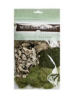 What Type of Consumer Is Moss
