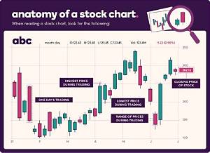What Type of Stock Does an S Corp Have?