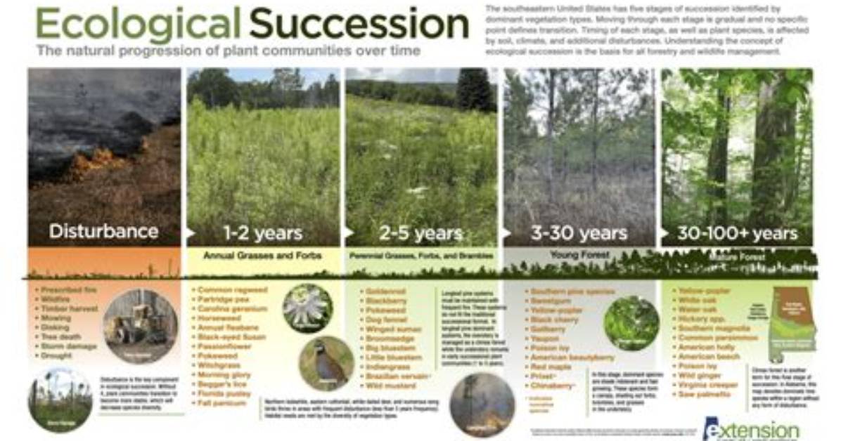 What Was the Problem of Succession?