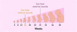 What Week Can My Baby Hear Me?