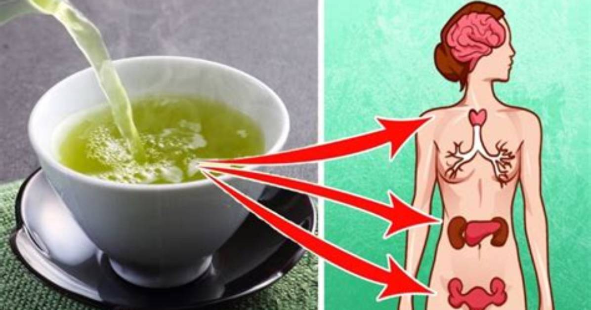 What Will Happen If I Drink Green Tea Everyday?
