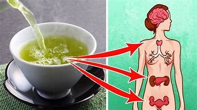 What Will Happen If I Drink Green Tea Everyday?