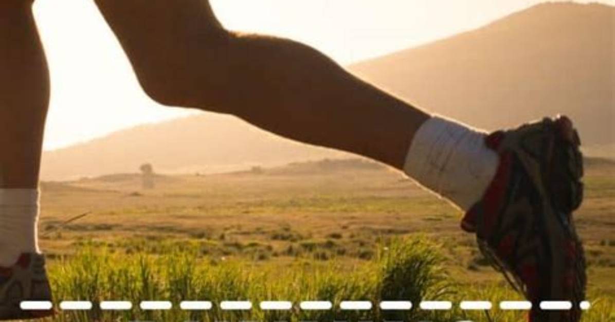 What Will Running 6 Miles a Day Do?