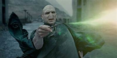 What Would Voldemort Do to Muggles?