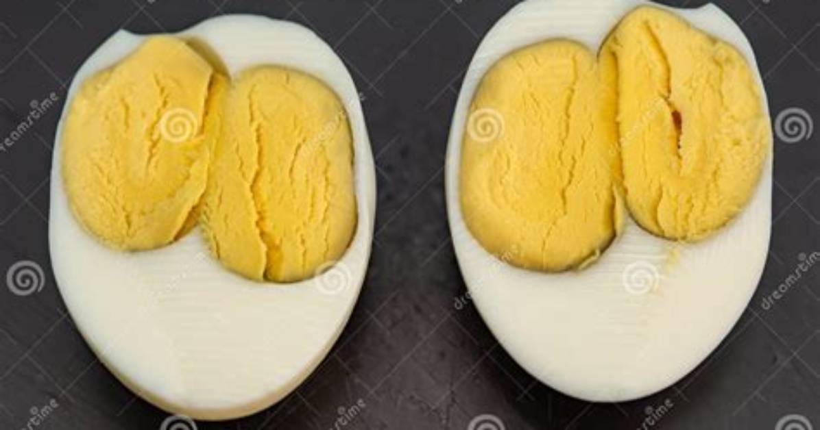When an Egg Has Two Yolks?