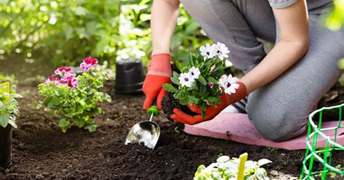 When Can You Start Planting Flowers in Colorado?