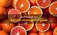 When Do Blood Oranges Ripen on the Tree?