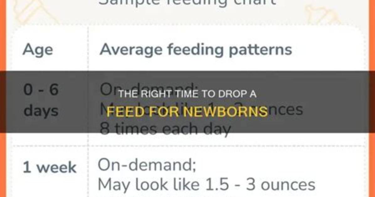 When Do Newborns Drop a Feed?